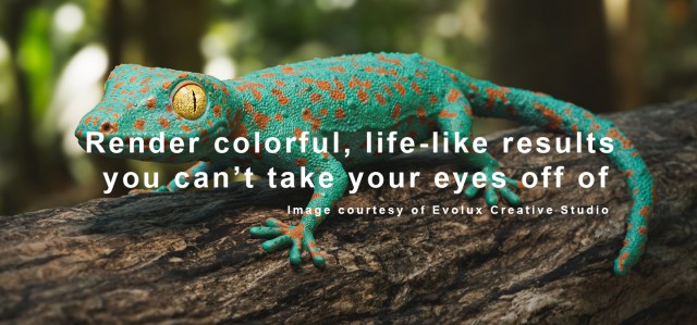 brightly coloured lizard on a tree with text overlay